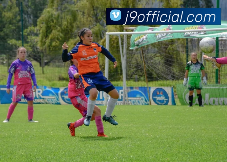 J9国际站官网平台生态图